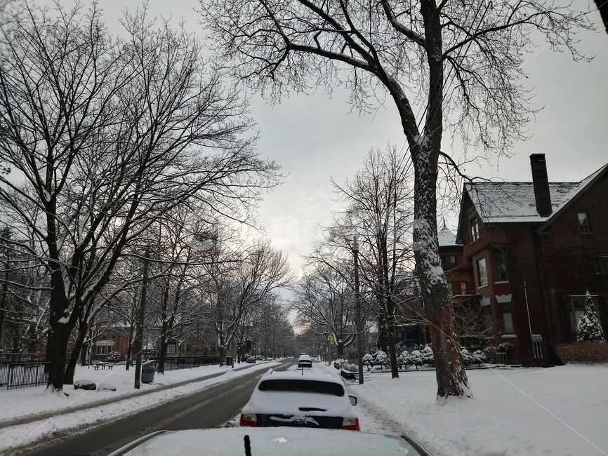 캐나다,길거리,외국,눈,canada,street,snow,tree,house