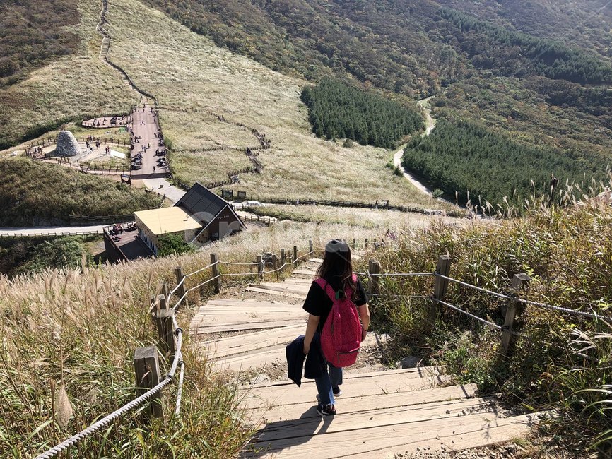 가을,간월산,억새,등산,자연,갈대,자연,풍경,nature,landscape,사람,인물,인간,human,person,여성,여자,woman,female,lady,여행,휴가,traveling,vacation,trip,outdoors,옥외