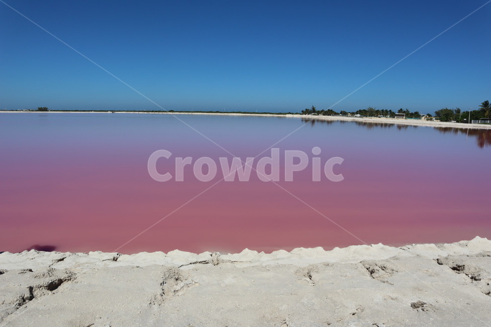 pink,mexico,Yucatan,Mexico,Pink Lagoon,lake