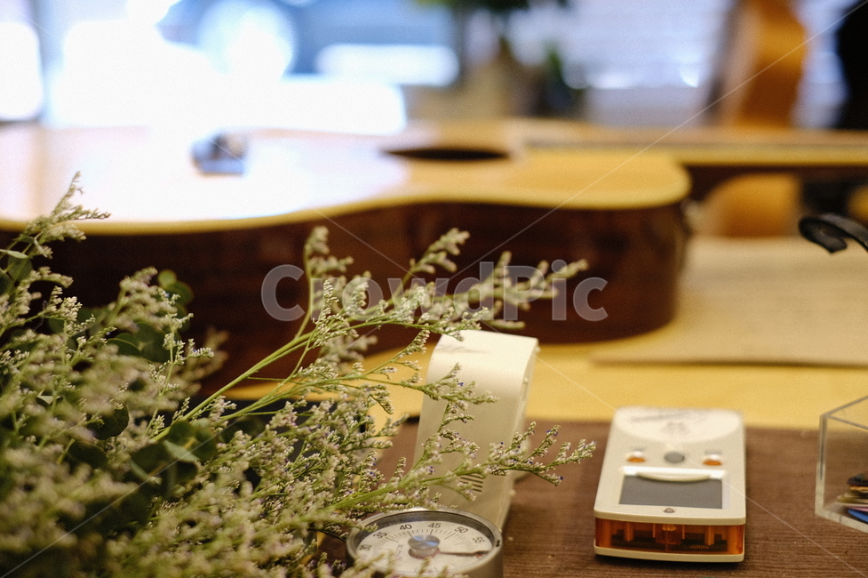 기타,통기타,드라이플라워,꽃,시계,꽃,flower,인테리어,실내디자인,interior design