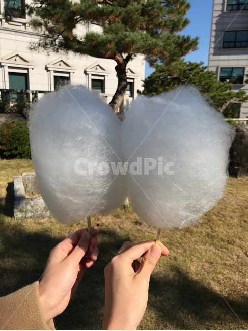 솜사탕,친구,소나무,candyfloss,cottoncandy,손,하얀솜사탕