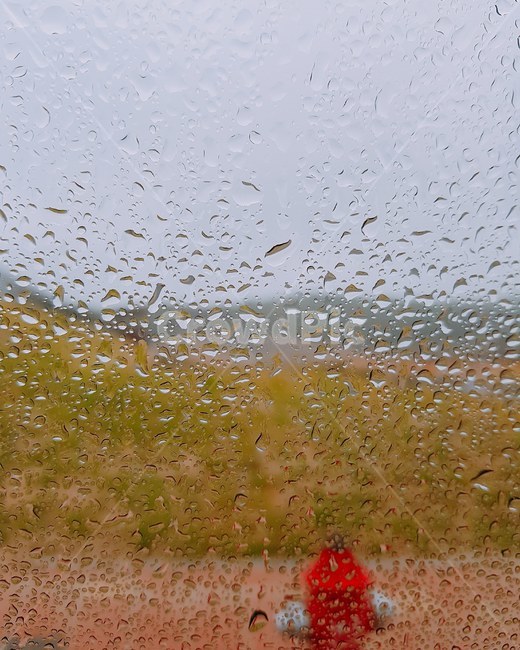 비,비오는날,창문,배경,하늘,비,비오는날,rain,rainy