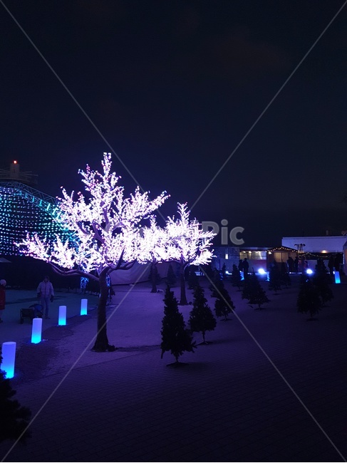 야경,풍경,축제,인테리어,캐나다,야경,밤,풍경,nightscape,night,landscape,urban,어반,town,도시,city,시티,building,건물,downtown,도심,architecture,건축물