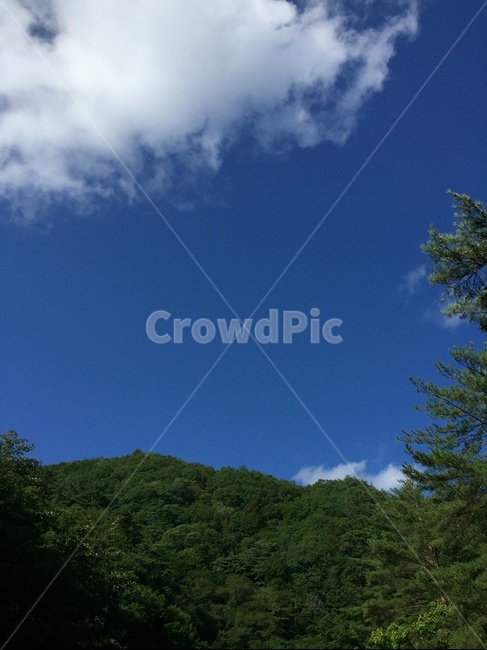 산,하늘,구름,파란하늘,cloud,sky,mountain,nature,자연,감성,bluesky,자연,풍경,nature,landscape,tree,나무,plant,식물