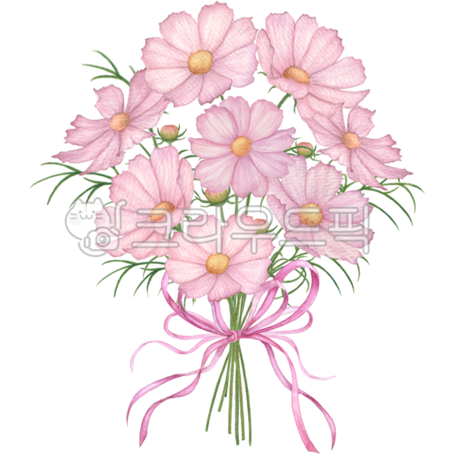 코스모스,꽃,가을,가을꽃,꽃그림,꽃다발그림,코스모스그림,코스모스일러스트,꽃일러스트,꽃다발일러스트,가을일러스트,꽃잎,부케,핑크,분홍,핑크꽃,분홍꽃,꽃다발,핑크리본,리본,수채화,플로랄,보태니컬,플로랄디자인,cosmos,flower,petal,floral,botanical,plant,nature,autumn,fall,cosmosdrawing,flowerdrawing,cosmosillustration,flowerillustration,bouquet,bouquetdrawing,bouquetillustration,watercolor,fallillustration,autumnillustration,pink,ribbon,pinkflower,flowerarrangement