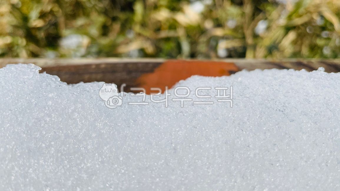 눈,얼음같은눈,녹은눈,녹고있는눈,깨끗한눈,속초,영랑호,눈오는날