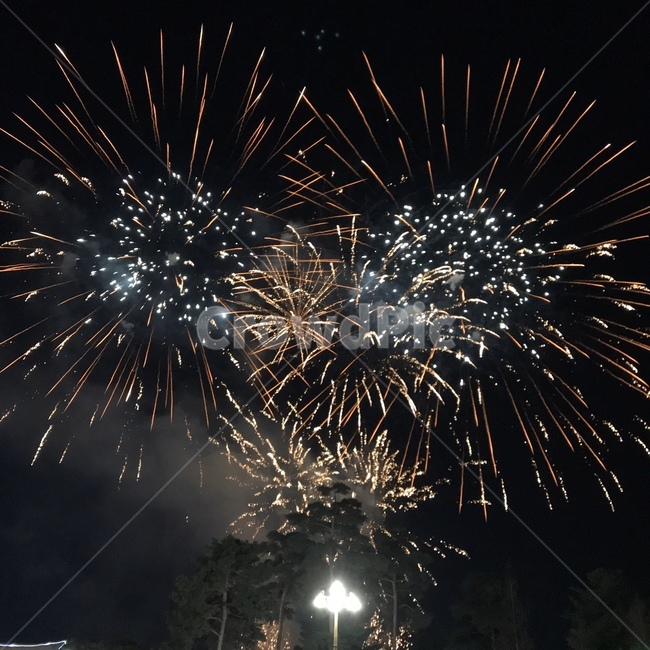 outdoors,fireworks,happynewyear,새해,불꽃,불꽃놀이