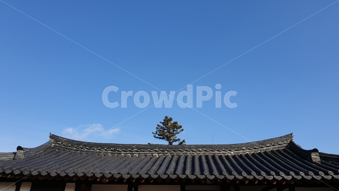 고택,기와,옛날집,기와집,한옥,지붕,roof,한국전통,한국문화,korean traditional,korean culture,건축물,건물외관,exterior,building,structure,architecture,construction