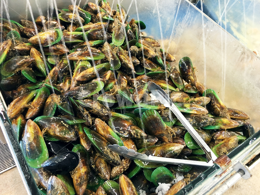 자연,홍합,food,해산물,수산시장,seafood,nature