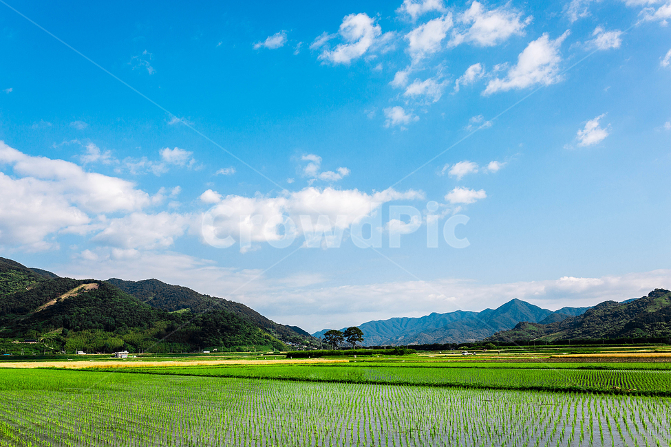 논,시골길,구름,하늘,산,하동,자연,풍경,nature,landscape,한국자연풍경,한국자연경관,korea nature landscape,grassland,목초지,outdoors,옥외,field,들,paddy field,패디 필드