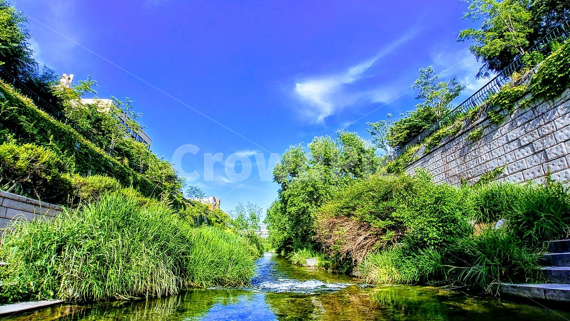 청계천,명소,개천가,물,하천,자연,풍경,nature,landscape
