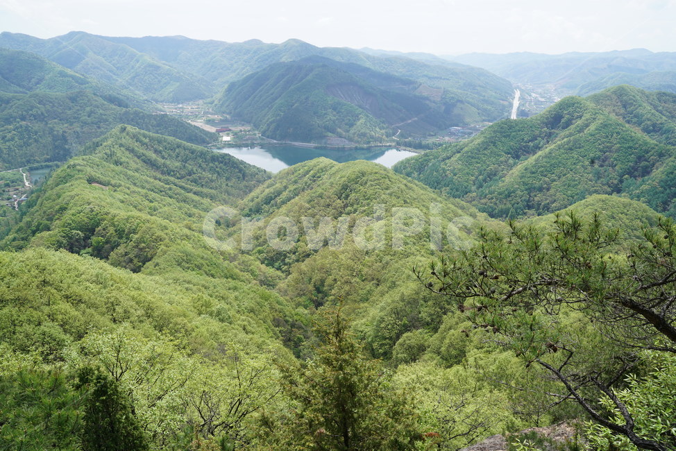 풍경,능선,계곡,산,등산,산수화,소나무