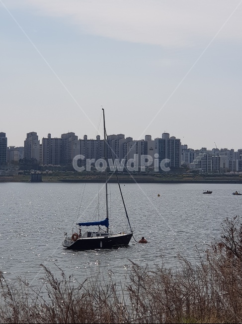 보트,요트,boat,한강,강