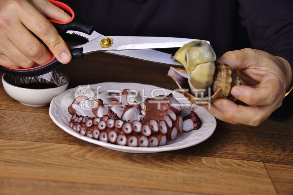 문어,숙회,바다생물,음식,먹거리,문어회,돌문어,자숙문어,문어숙회,연체동물,고동,바다고동,식재료,문어다리,가위,사람,손,접시,음식,식재료,요리,food,cook,meal,dishes,food reserves