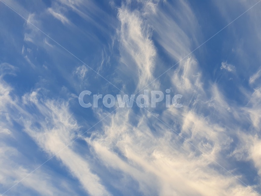 자연,하늘,옥외,푸른하늘,sky,nature,azuresky,outdoors