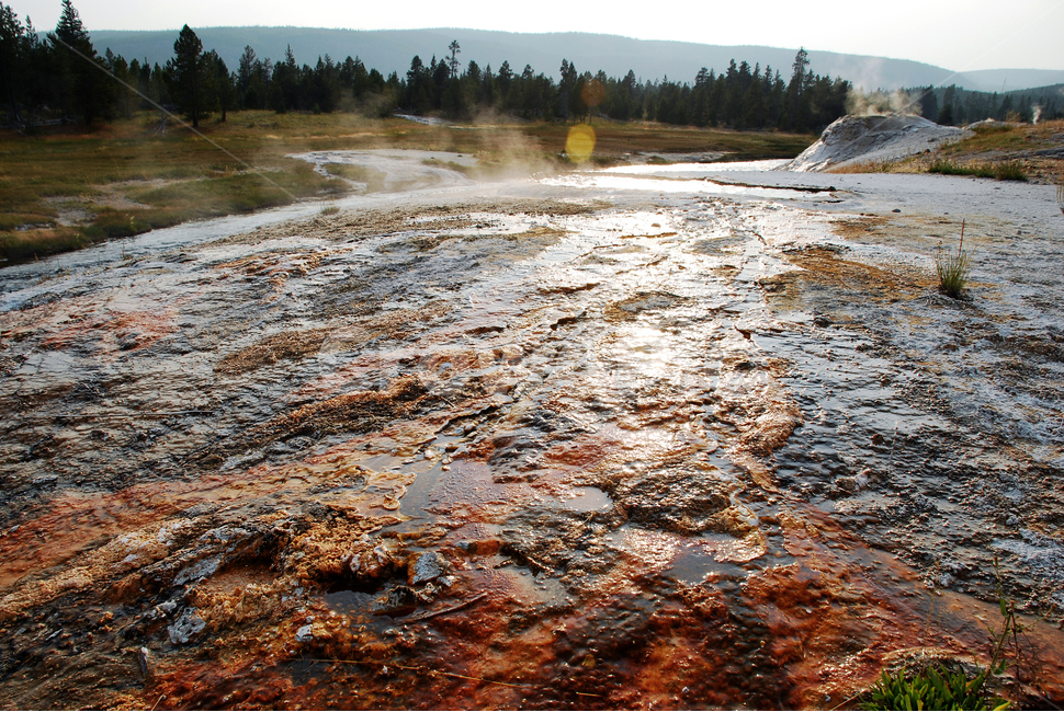 yellowstonenationalpark,옐로스톤국립공원,옐로스톤,geyser,간헐천,미국국립공원,풍경,자연,풍경,nature,landscape,해외,외국,세계,foreign,oversea,world,세계자연풍경,해외자연풍경,외국자연풍경,world nature landscape