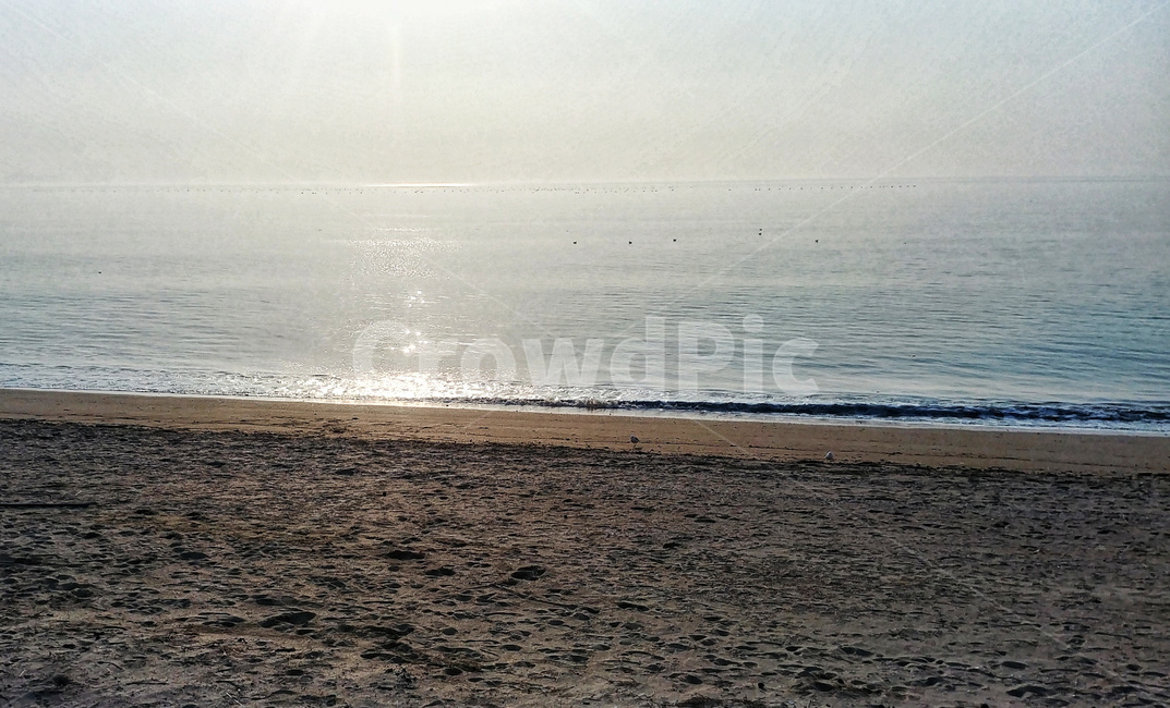 바다,제부도,바닷가,물반사,sea