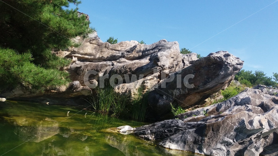 plant,식물,계곡,valley,물놀이