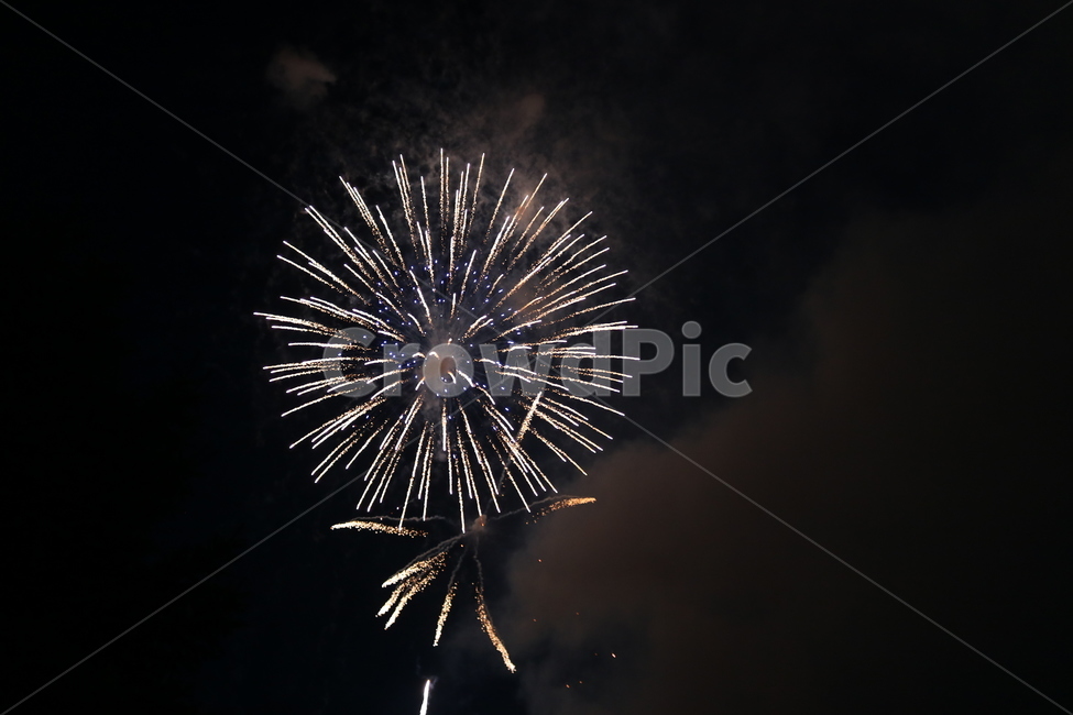 축제,불꽃놀이,폭죽,밤,독립기념일,야경,밤,풍경,nightscape,night,landscape,축제,행사,festival,carnival,event,nature,자연,outdoors,옥외