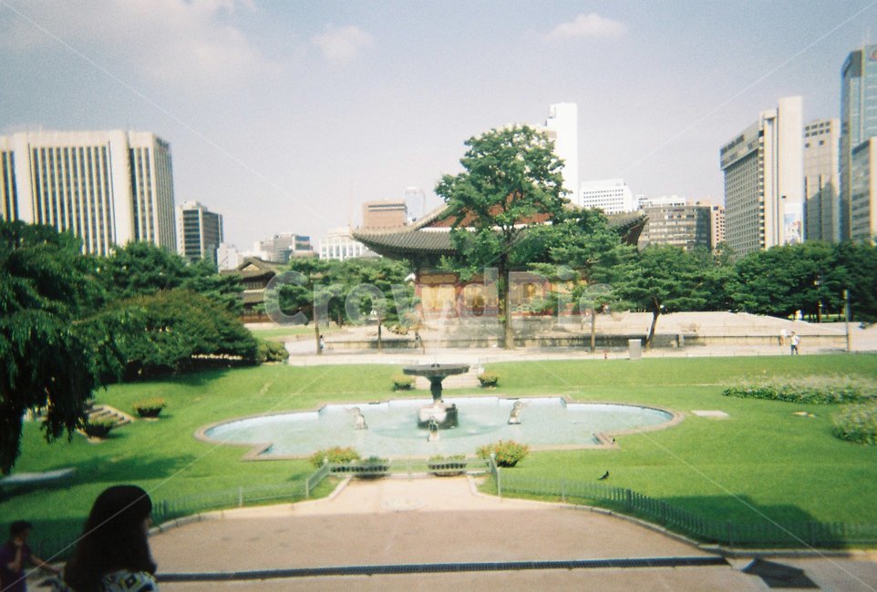 분수대,정원,덕수궁,중화전,여름,필름사진,잔디,랜드마크,landmark,tourist attraction,한국랜드마크,한국관광지,한국명소,korea landmark,korea tourist attraction