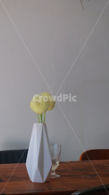 인테리어디자인,interiordesign,plant,식물,indoors,인테리어,예쁜화분,테이블세팅,카페인테리어