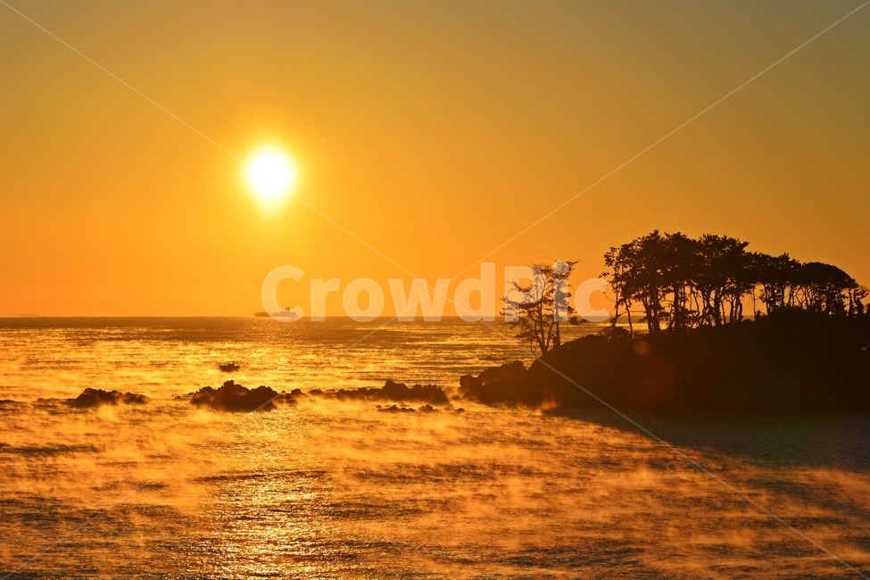 nature,자연,outdoors,옥외,sky,하늘,dawn,새벽,redsky,붉은하늘,sunlight,햇빛,울산,울주,명선도,강양항,명선도아침,일출,해돋이,여명,소나무,경치,경관,풍경,물안개,자연,풍경,nature,landscape