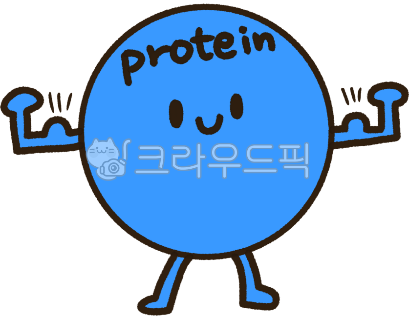 프로틴,단백질,protein,power,힘,불끈