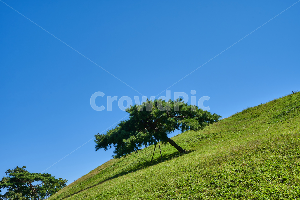 올림픽공원,공원,야외,산책,나무,자연,풍경,nature,landscape,나무,trees,wood,grassland,목초지,field,들,outdoors,옥외,mound,투수판