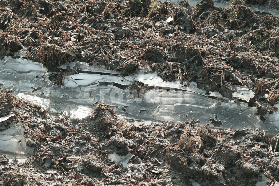 물,water,자연,살얼음,얼음,겨울,겨울,계절,winter,season