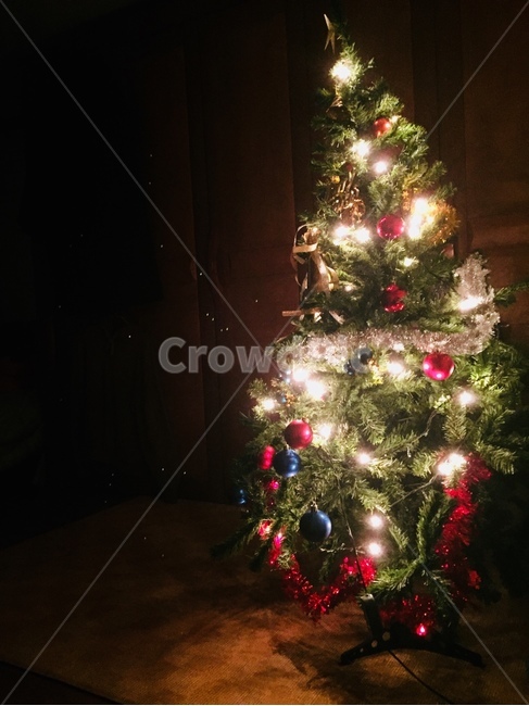 크리스마스,트리,장식,반짝반짝,12월,겨울,크리스마스리스,christmas,xmas,december,tree,winter,twinkle,겨울,계절,winter,season,기념일,축하,anniversary,congratulation,celebrate,celebration,메리크리스마스,성탄절,merry christmas