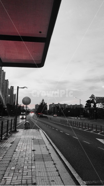 버스정류장,기다림,버스,정류장,흑백,도시,풍경,city,landscape,흑백,모노톤,monochrome,black and white,road,도로,car,차,automobile,자동차,vehicle,차량,transportation,교통,path,통로