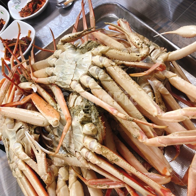 대게,영덕대게,게,해산물요리,홍게,음식,식재료,요리,food,cook,meal,dishes,food reserves,수산물,해산물,fishery products,seafood