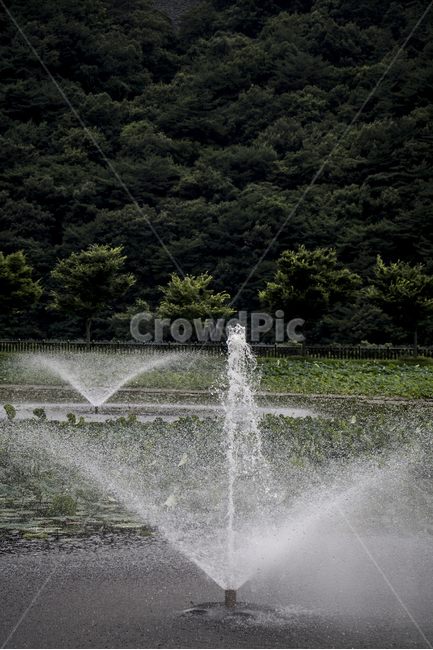 분수,물방울,공원,야외,여름,시원함,물줄기,연못,저수지,분수대,자연,풍경,nature,landscape,water,물