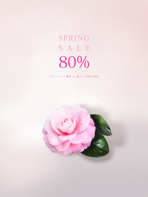 동백,꽃,꽃잎,봄,프레임,이벤트,쇼핑,봄,계절,spring,season,꽃,flower,축제,행사,festival,carnival,event,쇼핑,shopping,그래픽,일러스트레이션,graphic,illustration,plant,식물,blossom