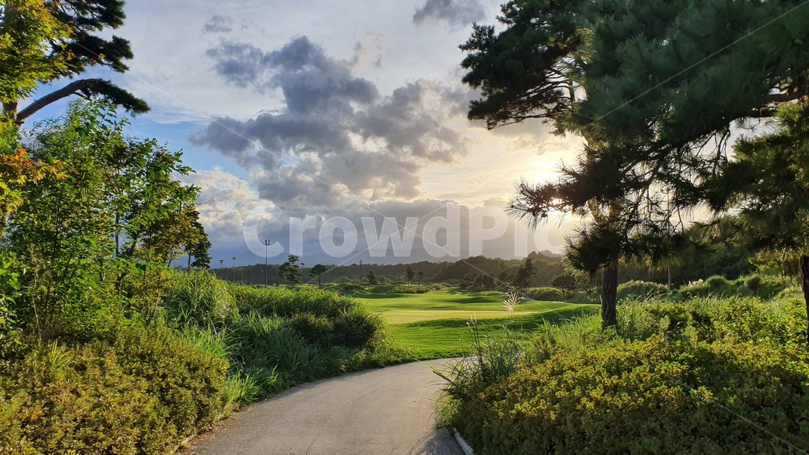 메이플비치,석양,golf,골프,골프장,자연,강원도,golfclub,nature,풍경