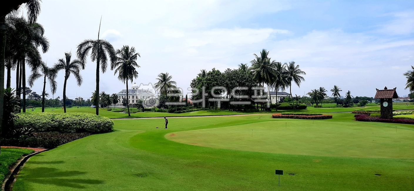 field,golf course,Indonesia Golf,golfcourse,Southeast Asia Golf