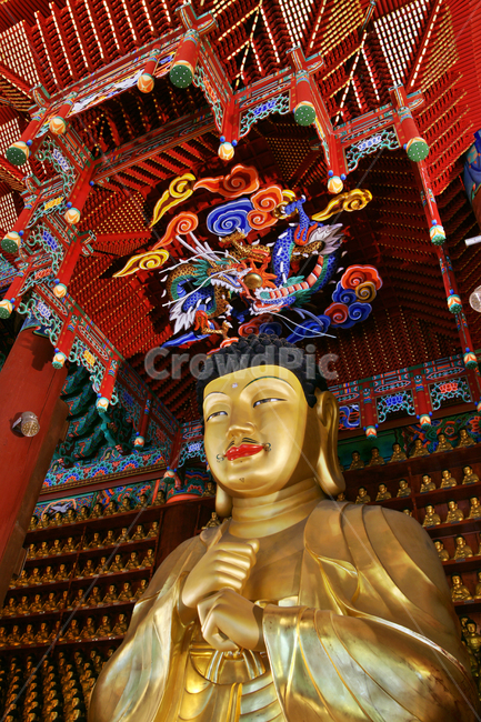 비로자나불,삼천불전,삼천불,닫집,지권인,불상,봉원사,보리인,각승인,화엄종,조각상,동상,석상,조형물,statue,bronze statue,stone statue,종교,신앙,religion,belief,faith