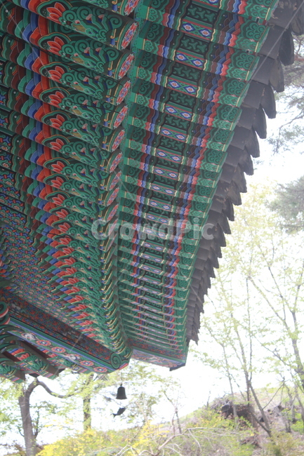 불교,사찰,처마,오방색,한옥,전통,temple