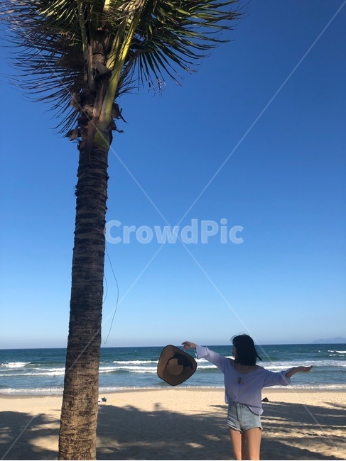 plant,식물,arecaceae,palmtree,야자수,tree,나무,person,사람,human,인간,인물,여자,소녀,여행,자유,바다,풍경,해변,여름,사람,인물,인간,human,person,여성,여자,woman,female,lady,여행,휴가,traveling,vacation,trip