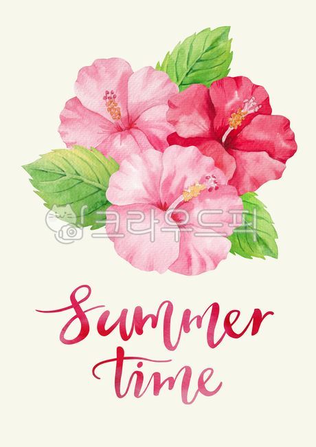 그림,일러스트레이션,일러스트,드로잉,배경,백그라운드,자연,여름,계절,시즌,수채화,수작업,손그림,열대,트로피컬,열대식물,여름식물,식물,나뭇잎,열대나뭇잎,캘리그라피,캘리그래피,캘리,영어,영문,꽃,열대꽃,히비스커스,illustration,drawing,background,nature,pattern,season,hand,drawn,painting,watercolor,tropical,plant,leaf,calligraphy,flower,floral,hibiscus