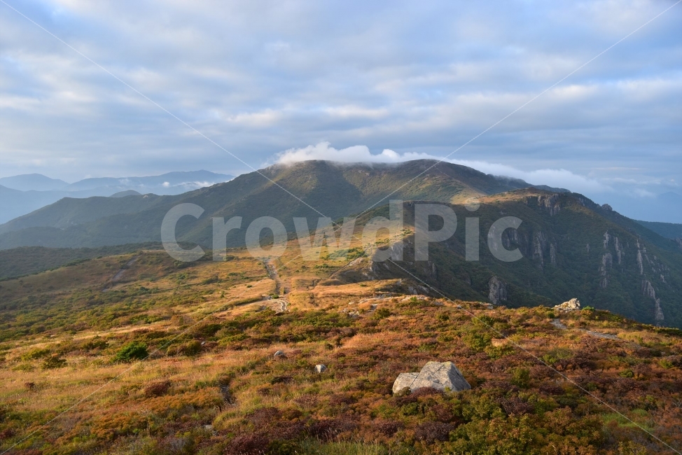 영축산,신불산,영남알프스가을,풍경,낙엽,명산,자연,비경,단풍나무,가을색,가을색채,가을풍경,운해,장관,구름,억새,영알,억새평전,mountain,Landscape,가을,계절,fall,autumn,season,자연,풍경,nature,landscape,한국자연풍경,한국자연경관,korea nature landscape,plateau,고원,outdoors,옥외