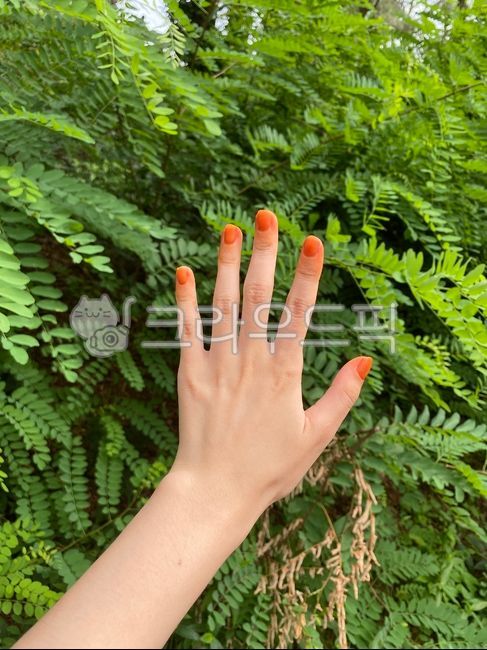 finger,balsam flower,person,Cargo delivery of balsam,human