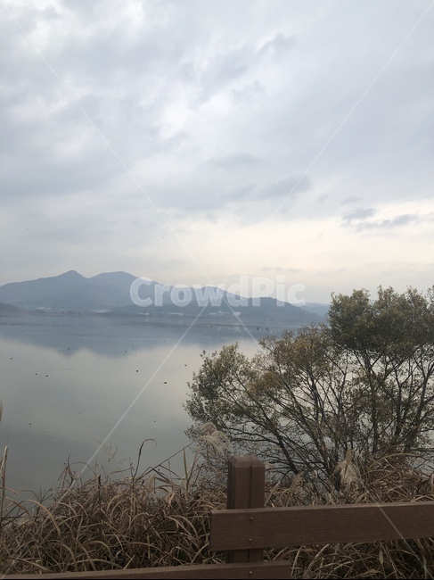 nature,자연,outdoors,저수지,갈대,하늘