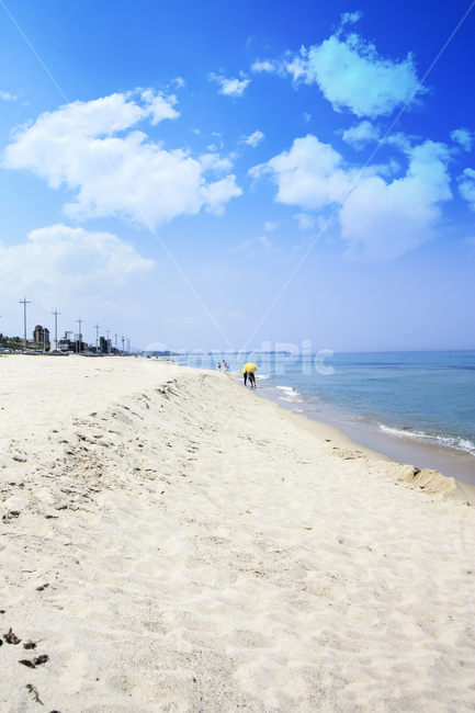 여름바다,풍경,동해,동해바다,해변,여름바다,파도,에메랄드빛,seabeach,sandybeach,summer,wave,eastsea,자연,naturelandscape,자연,풍경,nature,landscape,shoreline,해안선,water,물,ocean,대양,outdoors,옥외,sea,바다