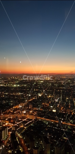 도심,야경,스카이라운지,일본,노을,야경,밤,풍경,nightscape,night,landscape,도시,city,nature,자연,outdoors,옥외,경치,scenery,aerial view,조감도