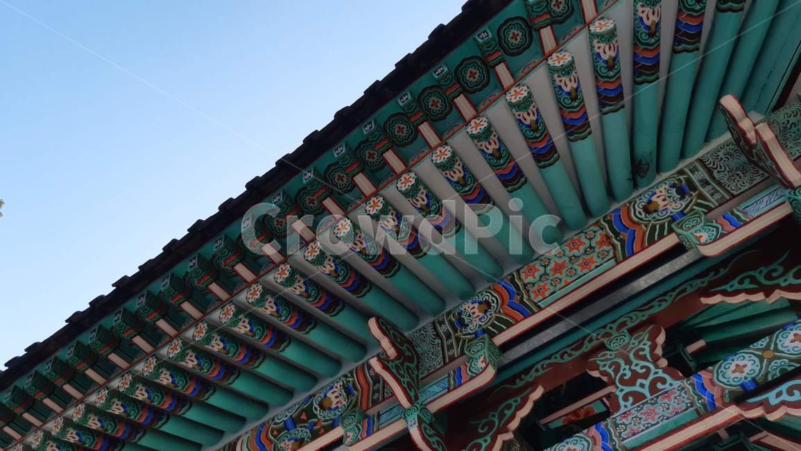 temple,건물,한국,지붕,단청,building,한국전통,한국문화,korean traditional,korean culture