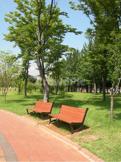 의자,나무,길,공원,벤치,휴식,산책,힐링,자연,bench,tree,way,park,rest,walking,healing,nature