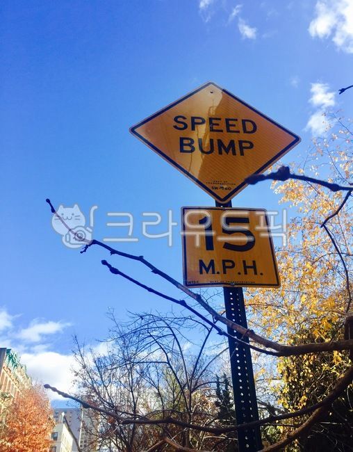 표지판,영어표지판,속도표지판,하늘,speedbump