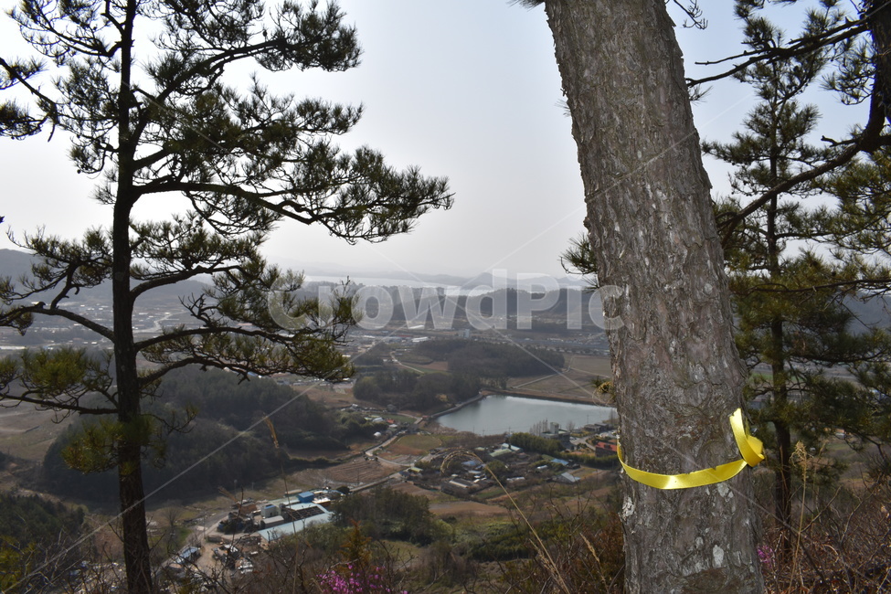 등산,정상,나무,호수,산,풍경,tree,식물
