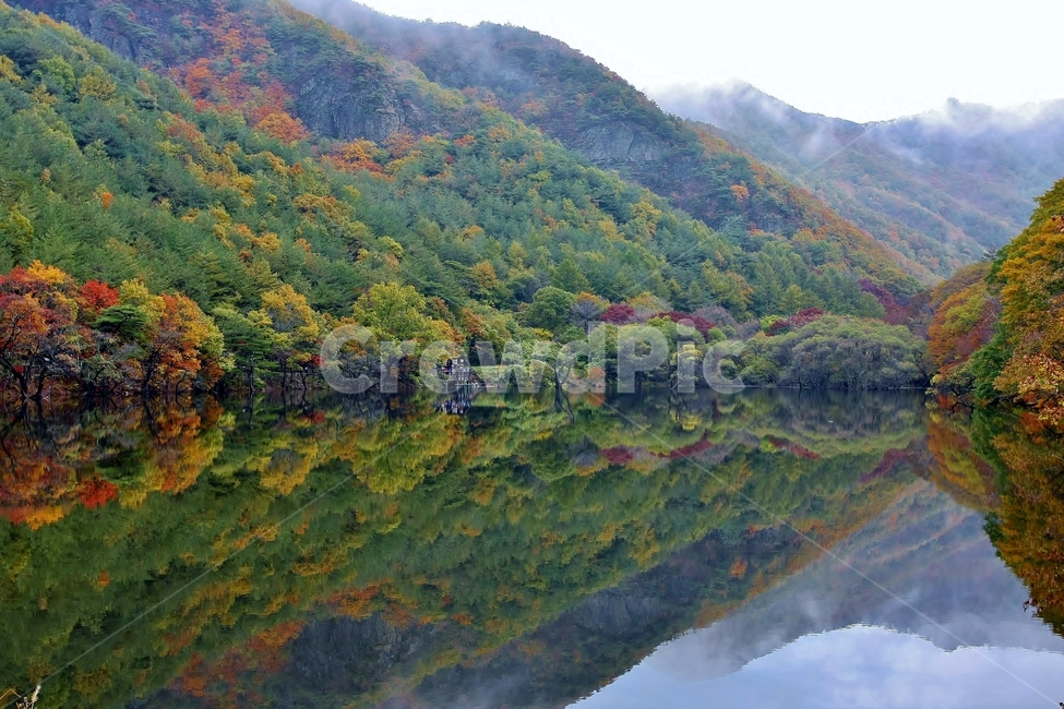 자연,가을,풍경,단풍,주산지,자연,풍경,nature,landscape